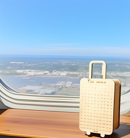 Travel Money Saving Carry Box